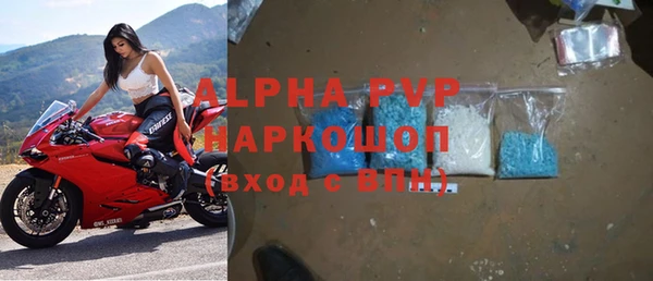 ПСИЛОЦИБИНОВЫЕ ГРИБЫ Верея