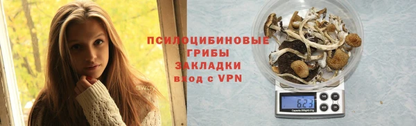 ПСИЛОЦИБИНОВЫЕ ГРИБЫ Верея