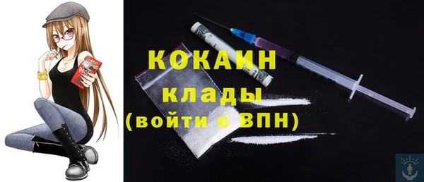 мдпв Апатиты