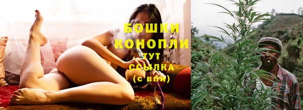 ПСИЛОЦИБИНОВЫЕ ГРИБЫ Верея