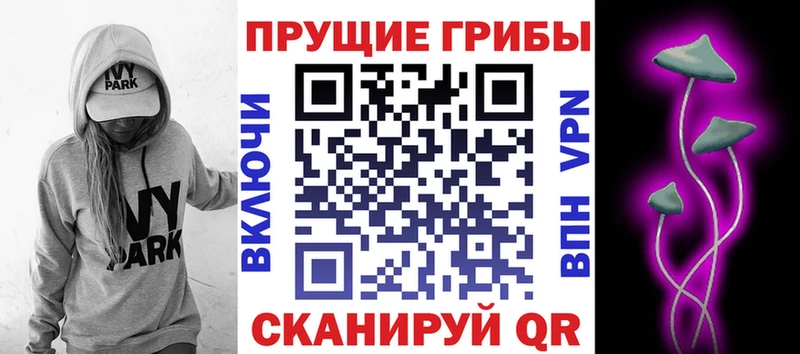 купить закладку  Вуктыл  Псилоцибиновые грибы мухоморы 
