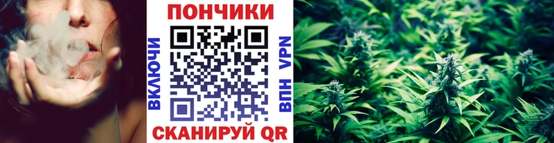 МЕГА tor  продажа наркотиков  Вуктыл  Шишки марихуана Ganja 